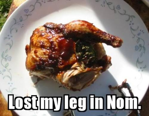 lost my leg in nom.jpg (136 KB)